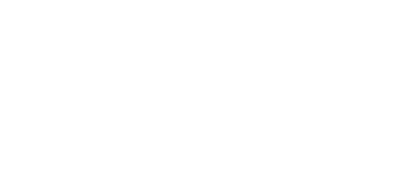 DIE VIER BEIDEN Logo